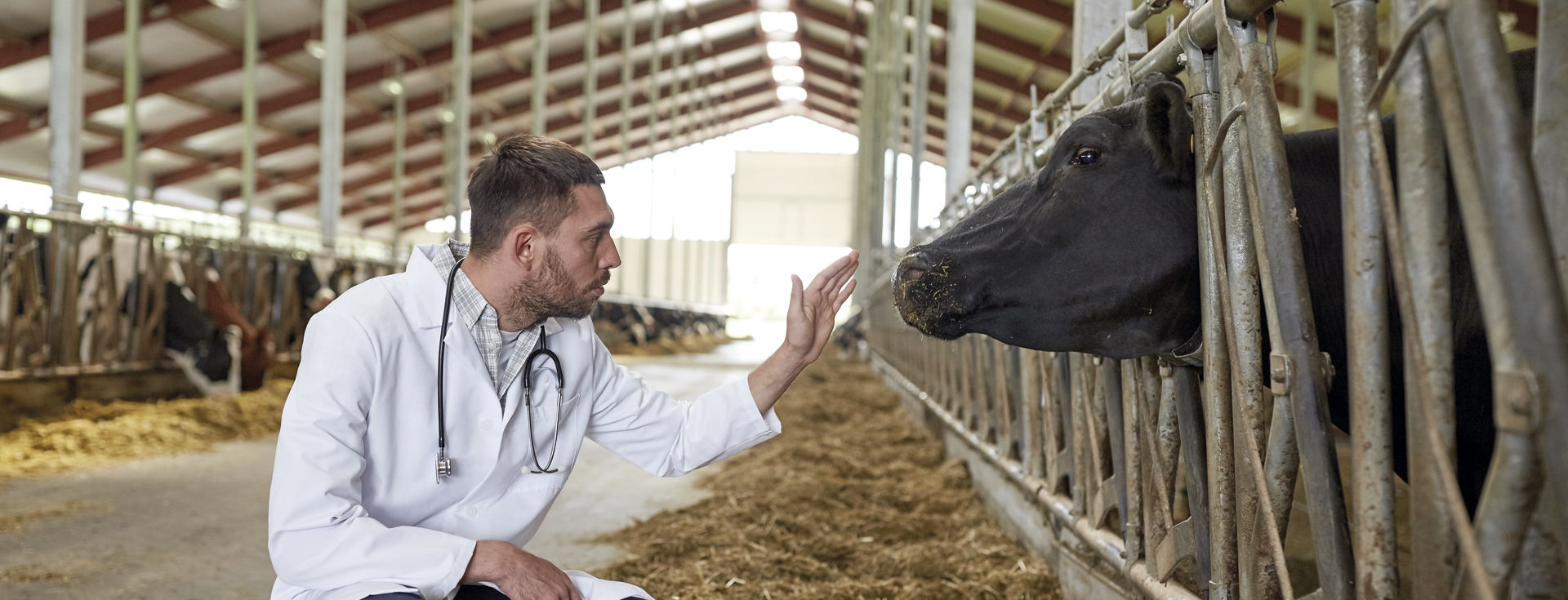 Doctorado en Ciencias Agropecuarias y Sustentabilidad (PNPC)